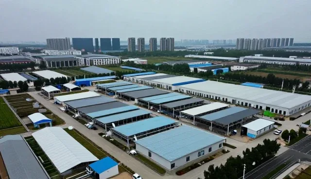 艺术交流如何推动文化发展